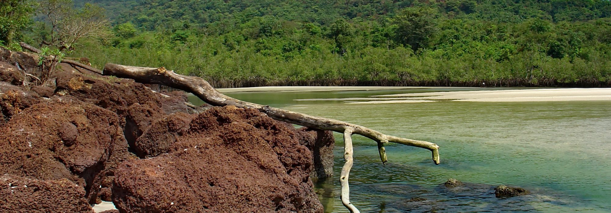 Mangroves and hills behind No. 2 River, Sierra Leone